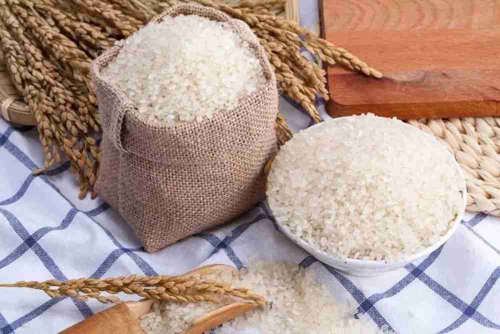 why is rice a staple food in china? | Son Of China