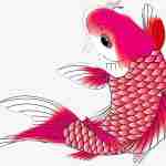 The-meaning-of-fish-in-Chinese-cultures-