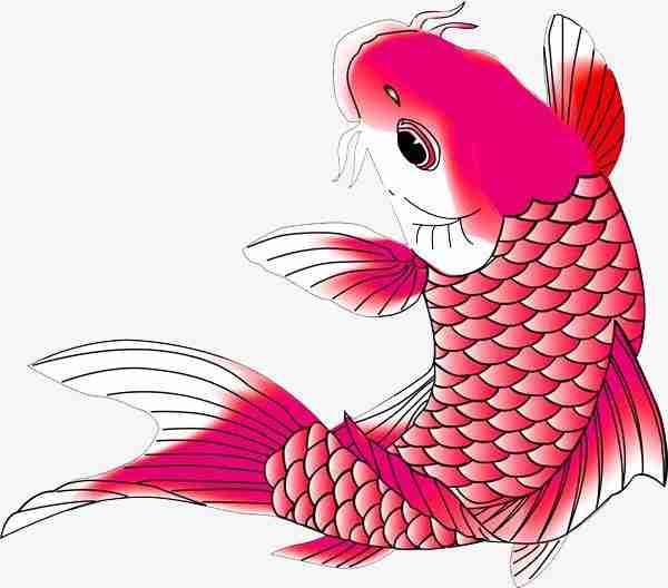 What Does Koi Fish Represent In Chinese Culture