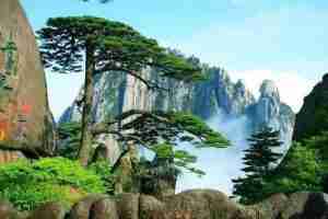 Read more about the article Where Is Huangshan Located