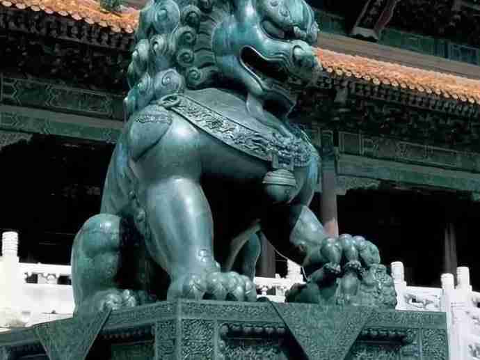 chinese-lion-dog