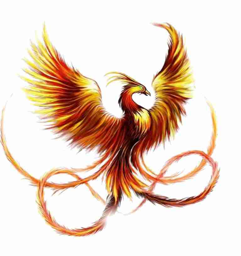 chinese-phoenix-pictures-son-of-china