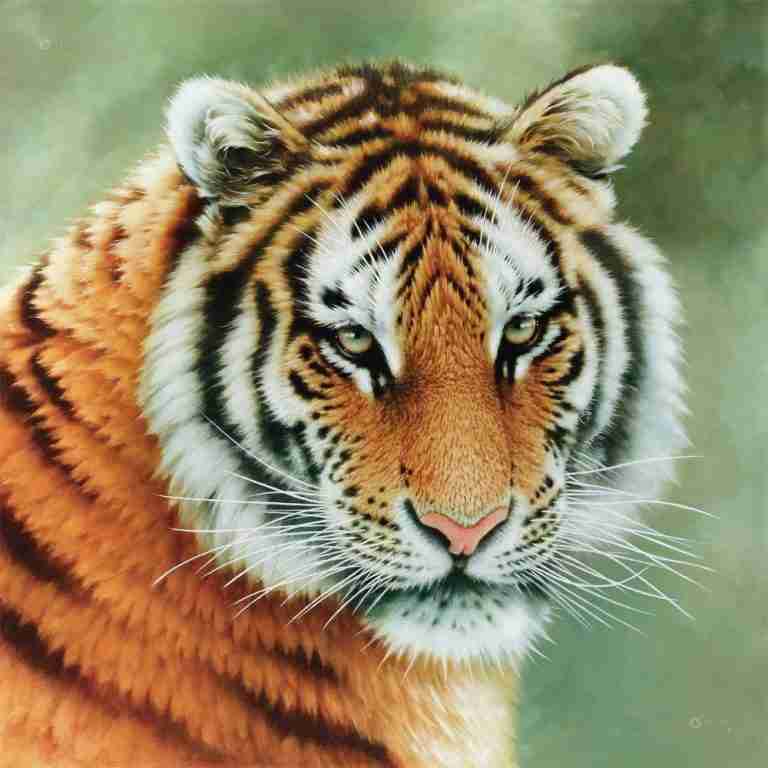 What Does A Tiger Symbolize In Chinese Culture？