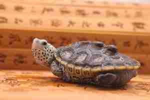 Read more about the article Wu Gui/Xuanwu: Turtle/Tortoise Symbolism Meaning In Chinese Culture
