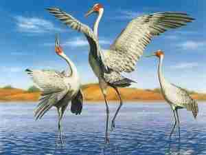 Read more about the article Xian-He: Crane birds Symbolism Meaning In Chinese Mythology Culture