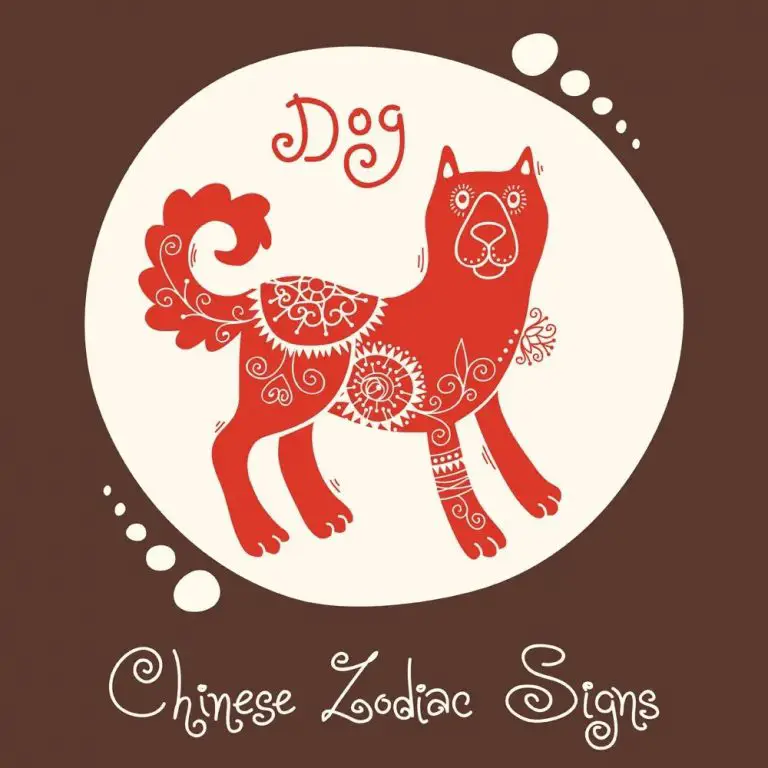 What Is Dog In Chinese Zodiac？